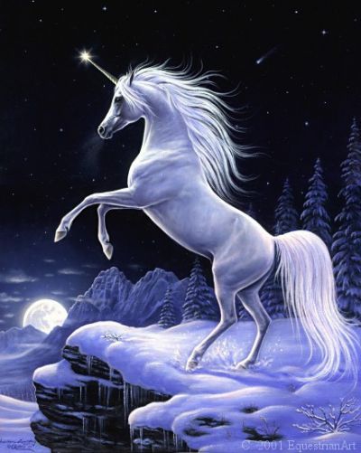 53d5d407fb_17477883_o2.jpg
